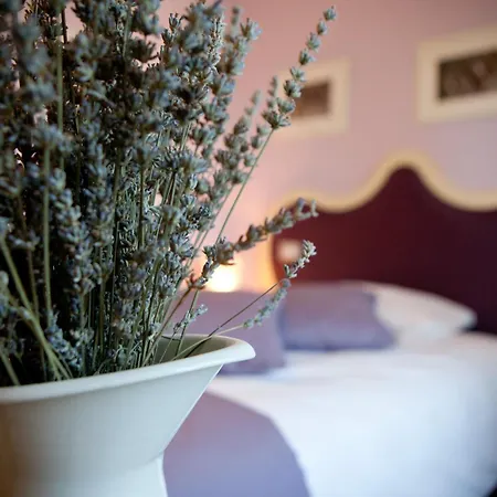 Mano Bed & Breakfast